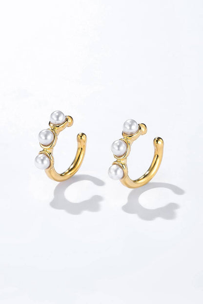 Stainless steel non-pierced earrings 124AQ353