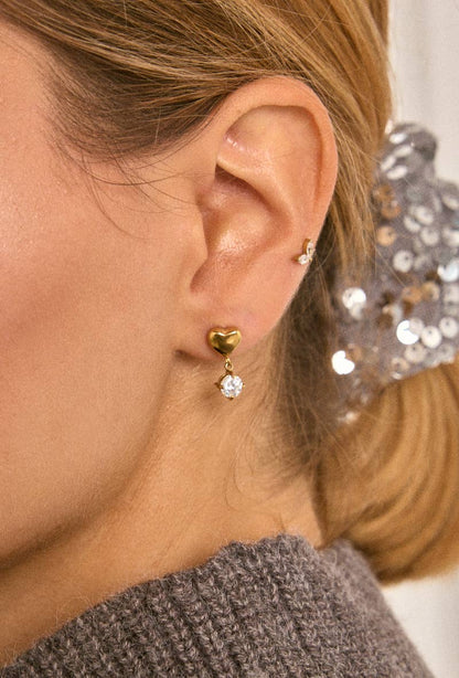 124AQ512 stainless steel earrings