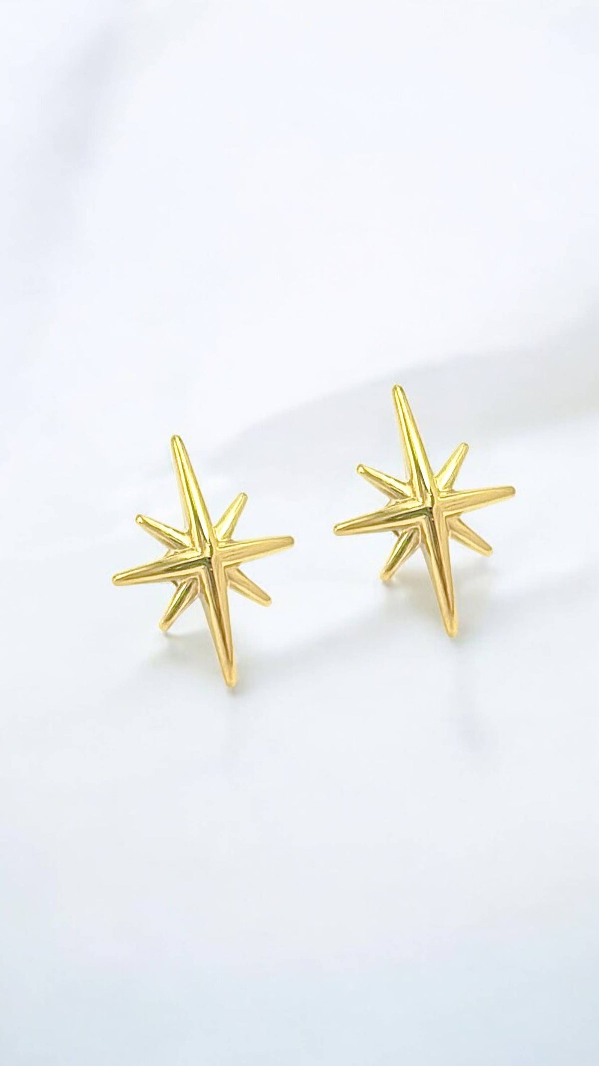 Stainless steel earrings 124AQ372