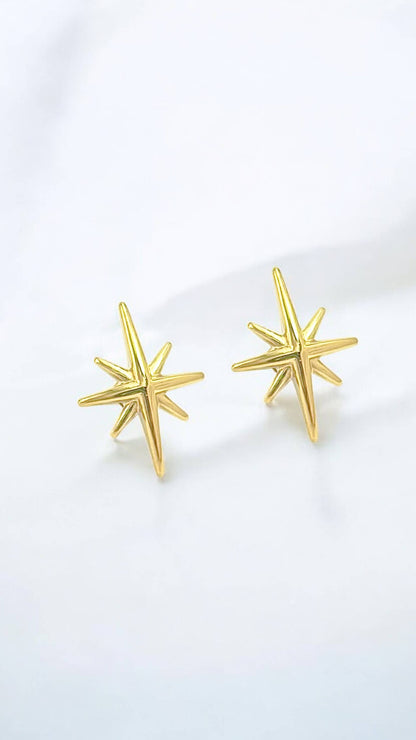 Stainless steel earrings 124AQ372