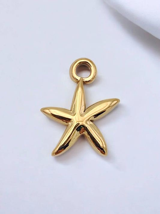 Charm breloque en acier inoxydable CHARM8