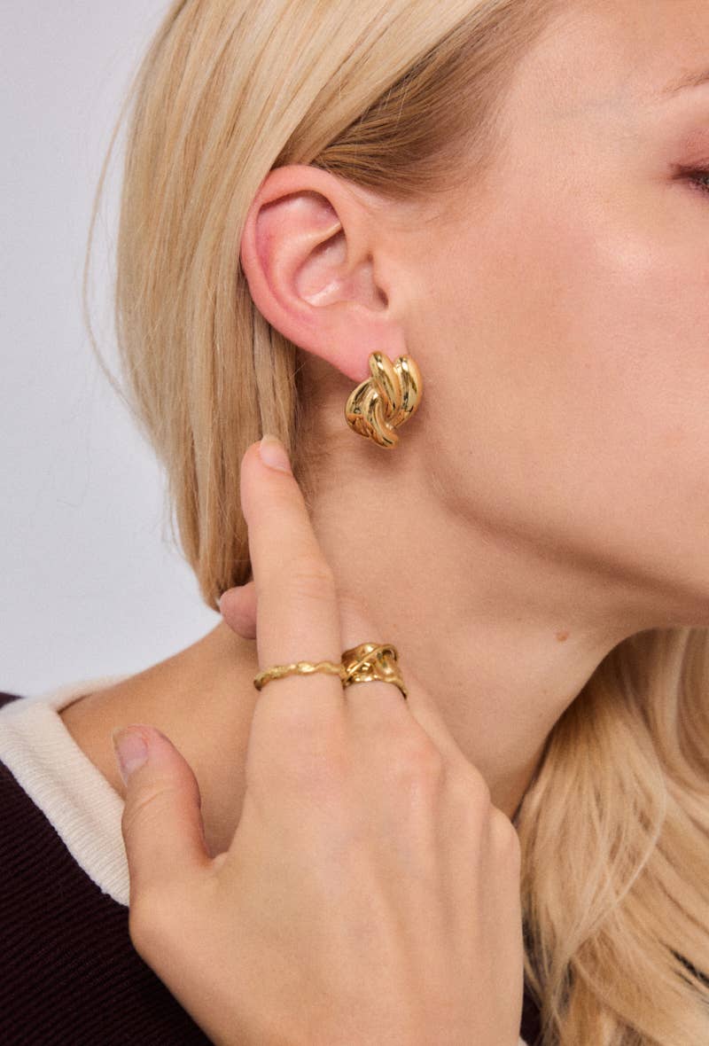 Stainless steel earrings 124AQ502