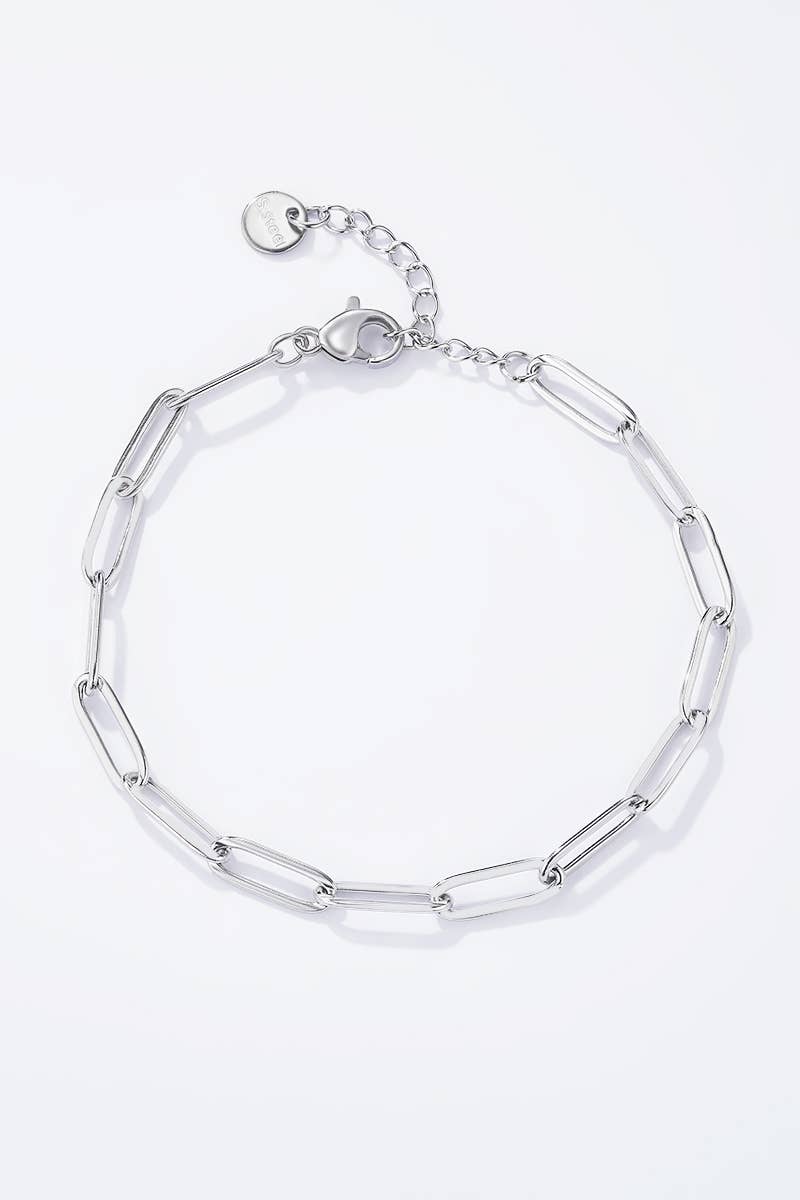 Stainless steel charm bracelet 324CA55