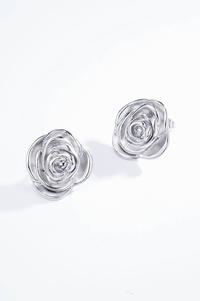 Boucles d'oreilles en acier inoxydable 124DY32