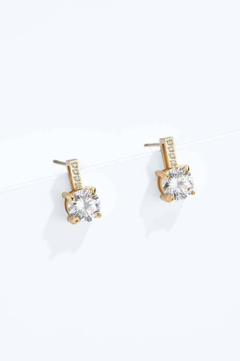 Boucles d'oreille en acier inoxydable 124AQ568