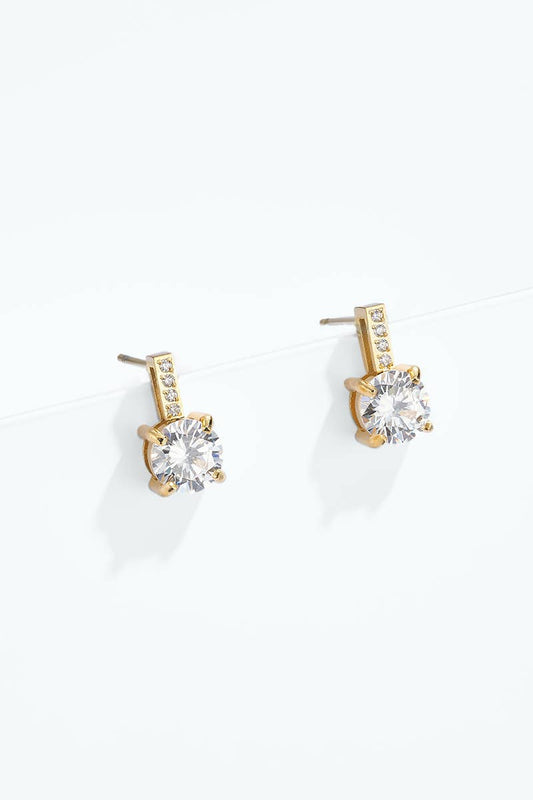 Stainless steel earrings 124AQ568