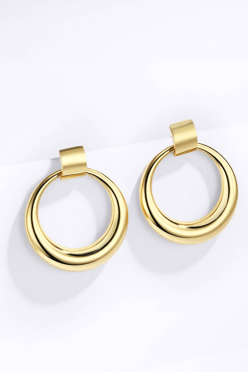 124AQ360 stainless steel earrings