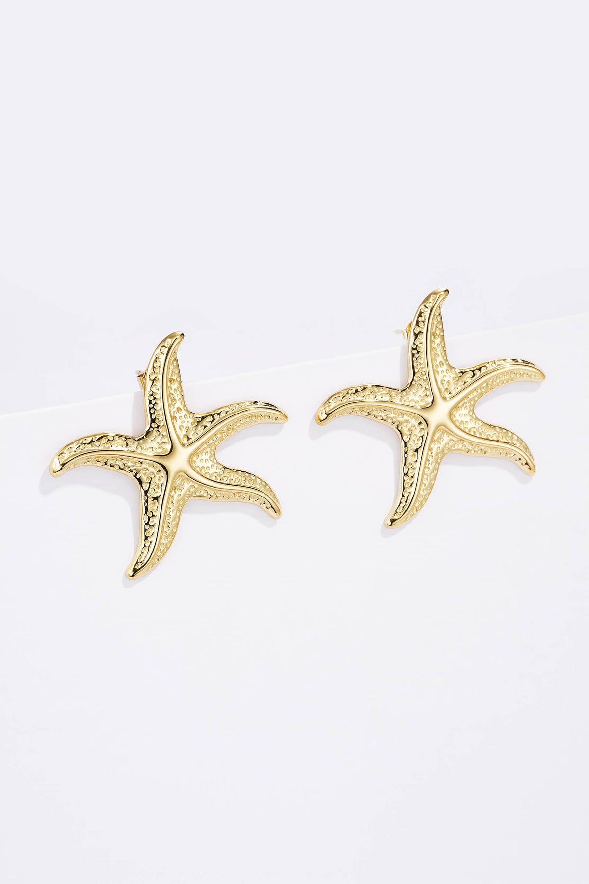 124AQ433 stainless steel earrings