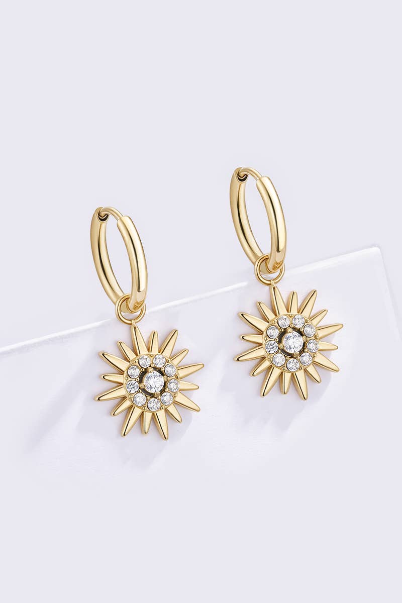 Stainless steel earrings 124AQ557
