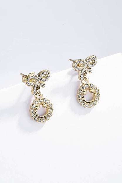 Stainless steel earrings 124AQ248