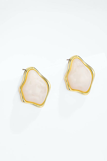 124AQ700 stainless steel earrings
