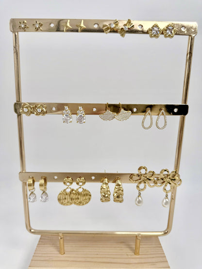 Set of 12 stainless steel earrings SET250