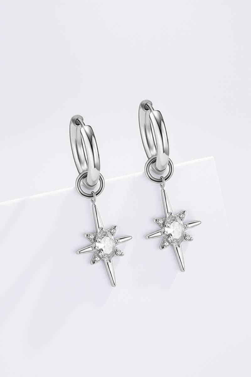 Stainless steel earrings 124AQ501