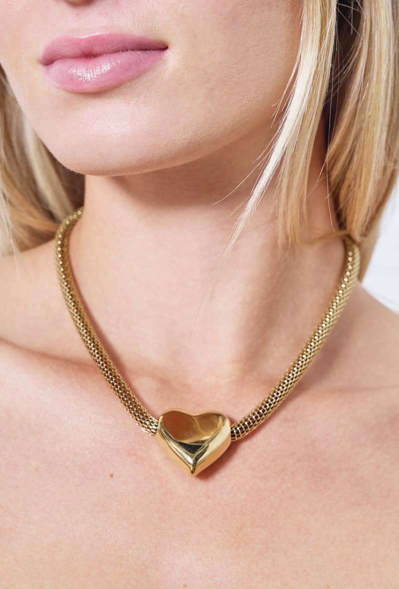 Collier en acier inoxydable 224AQ54