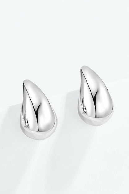 Stainless steel earrings 124AQ652