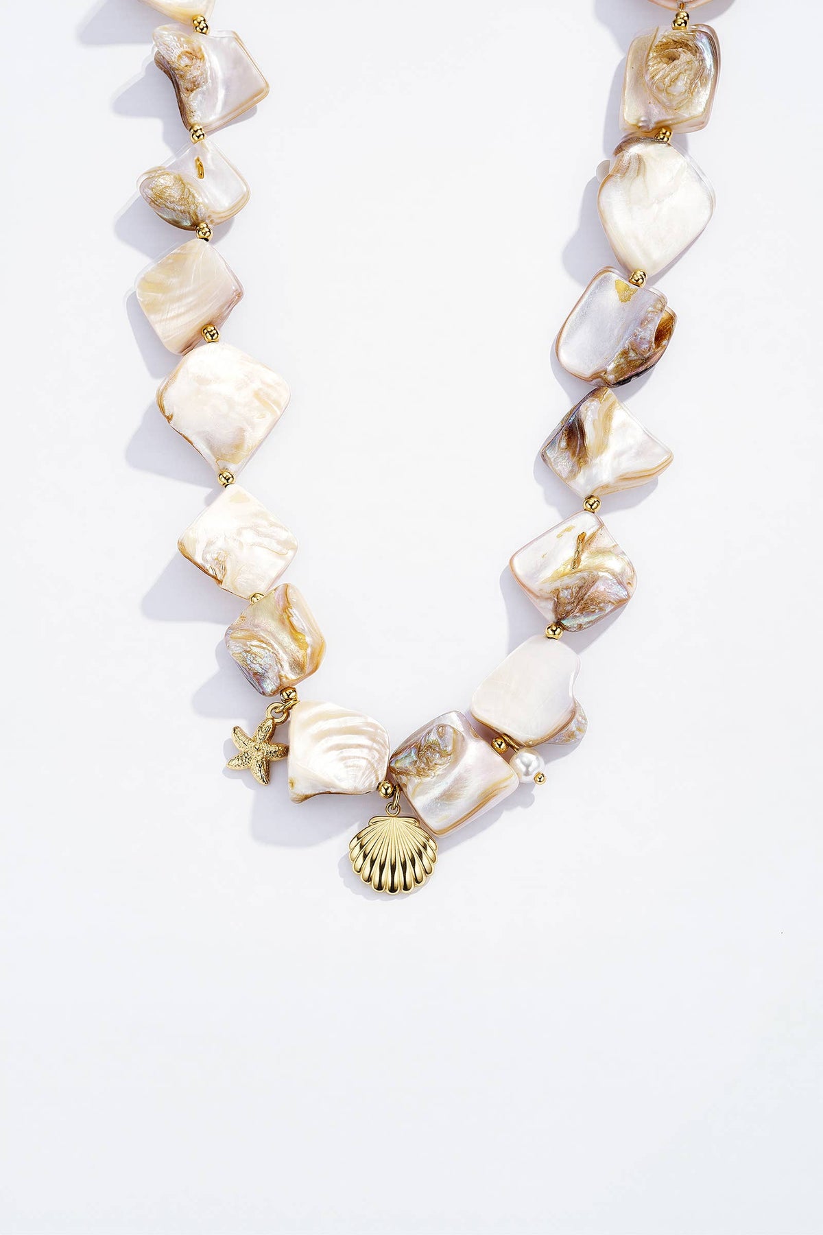 Collier en acier inoxydable 224CA26