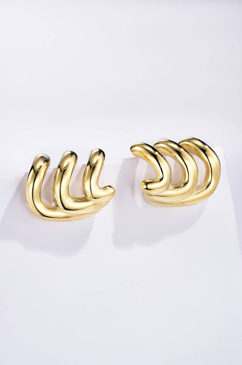 Stainless steel earrings 124AQ519