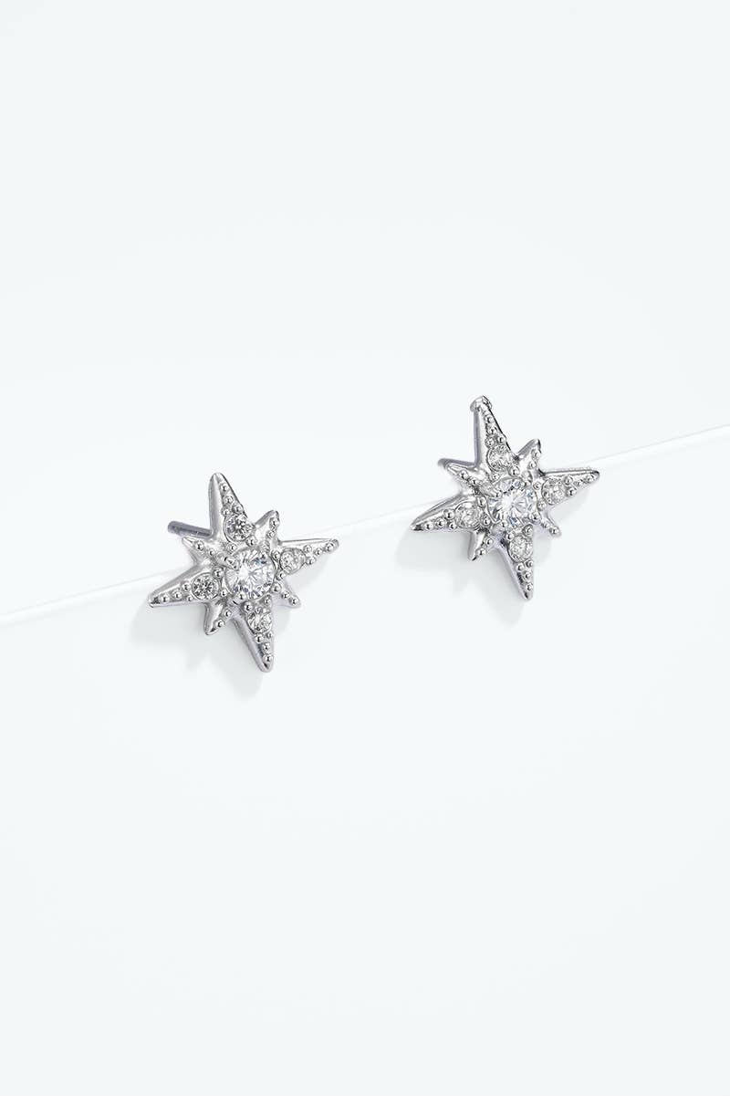 Stainless steel earrings 124AQ616