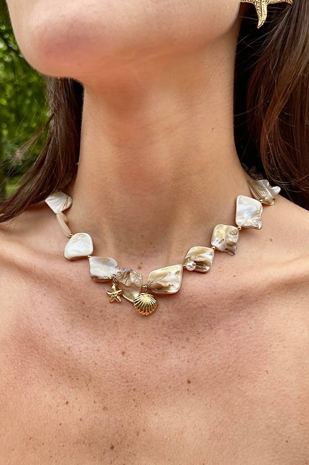 Collier en acier inoxydable 224CA26