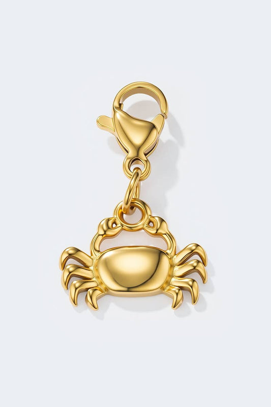Charm breloque en acier inoxydable CHARM87