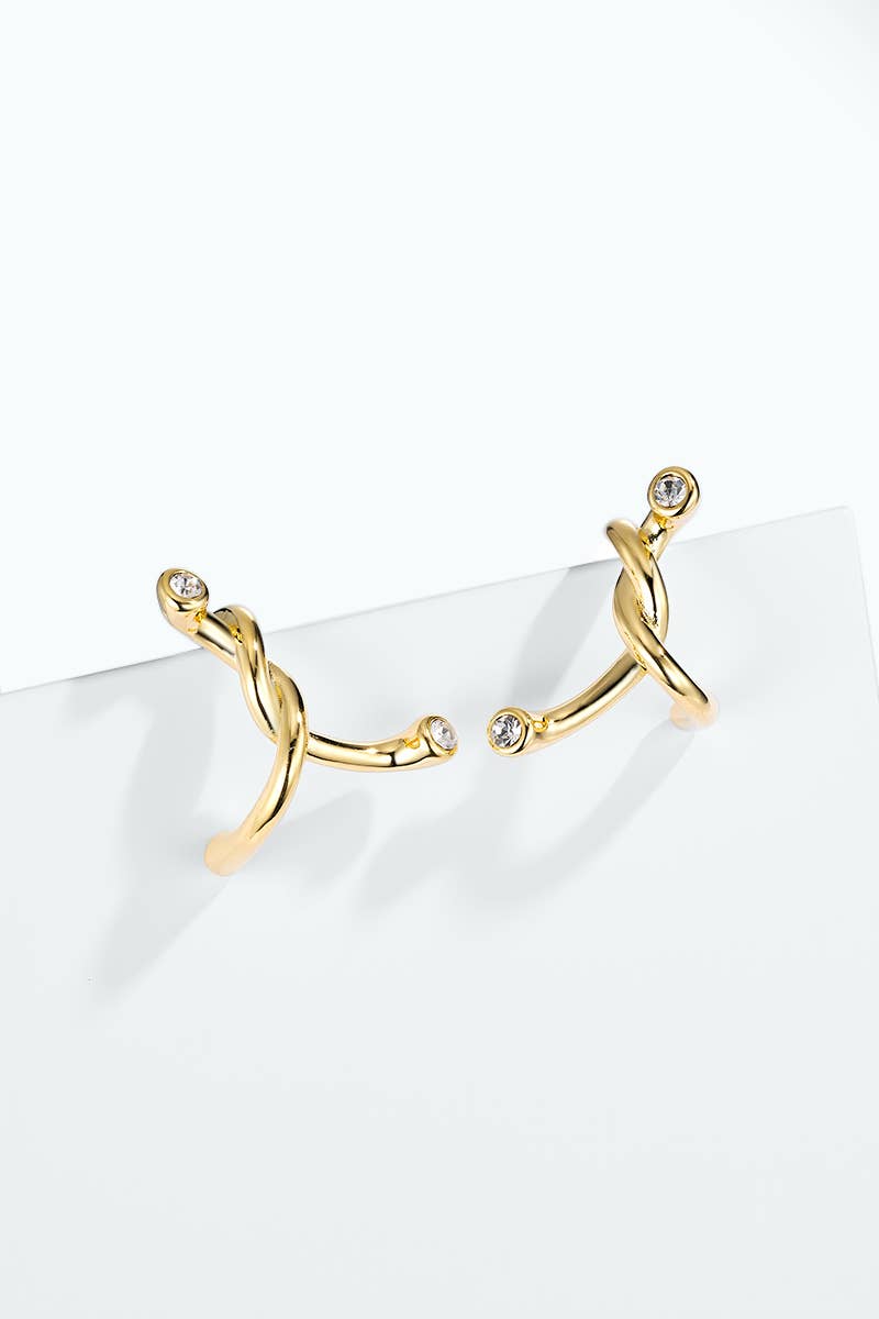 Stainless steel earrings 124AQ645
