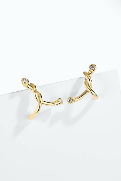 Stainless steel earrings 124AQ645