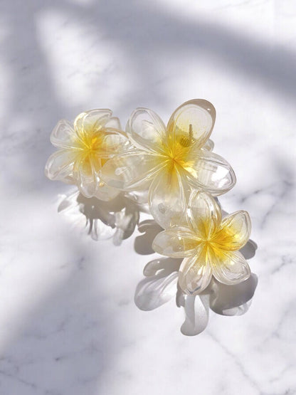 Pince à cheveux en forme de fleurs YH18