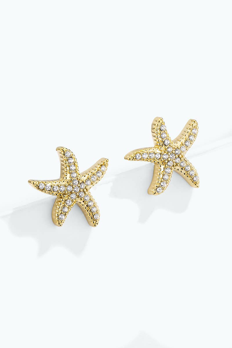 Stainless steel earrings 124RX344