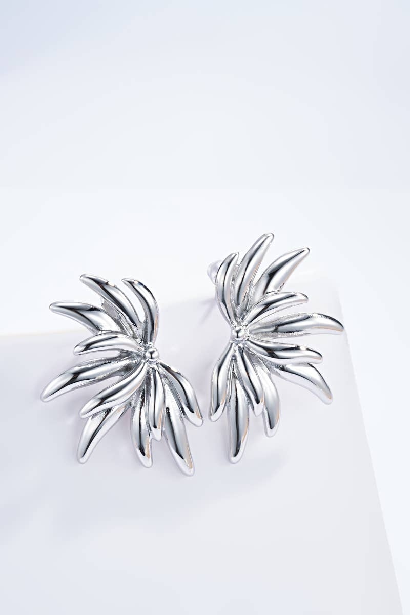 Stainless steel earrings 124AQ373