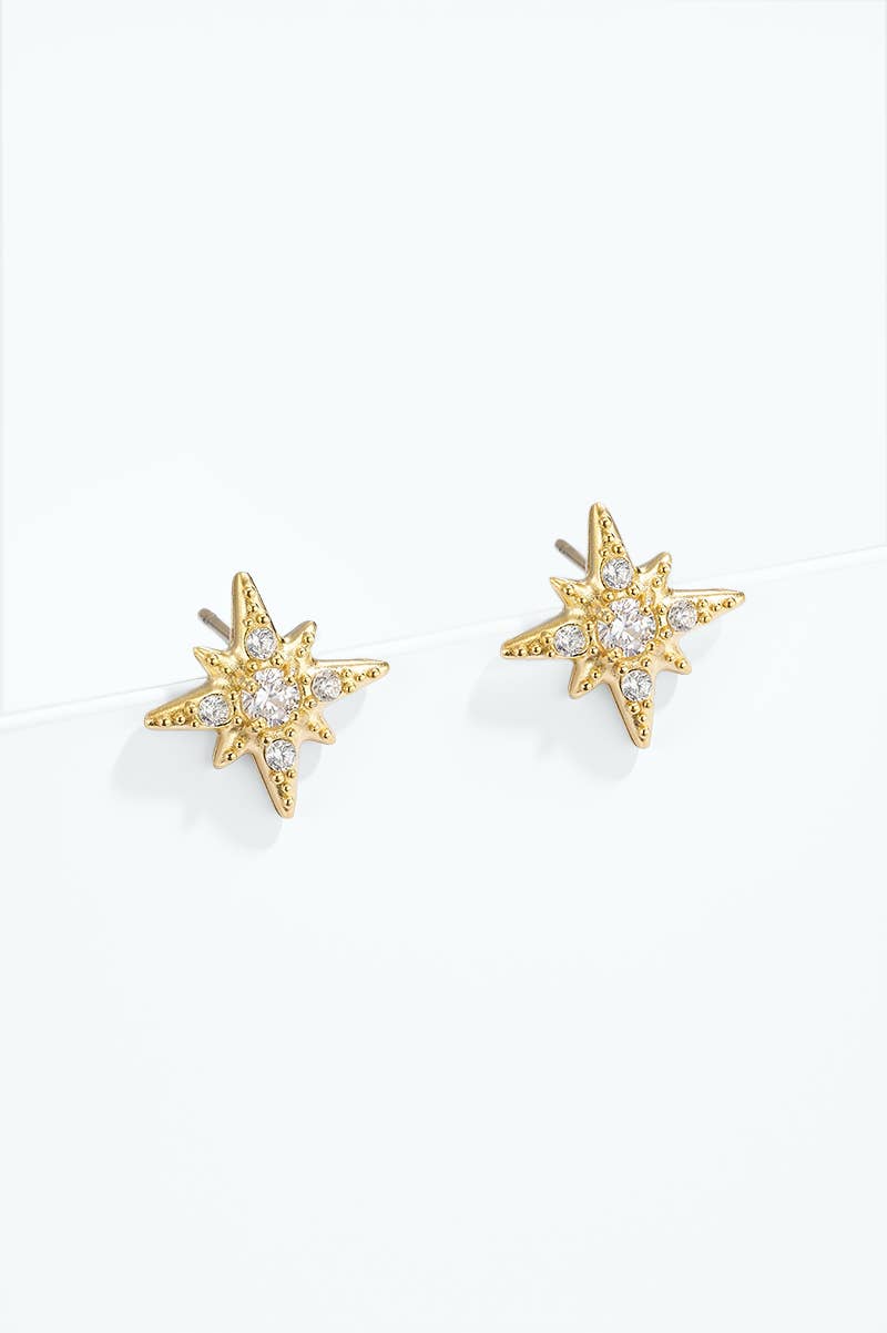 Stainless steel earrings 124AQ616