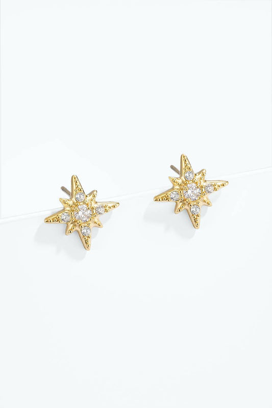 Stainless steel earrings 124AQ616