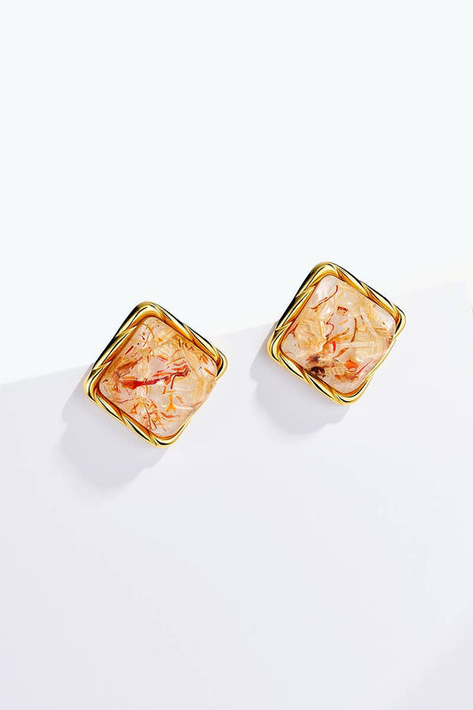 124AQ592 stainless steel earrings