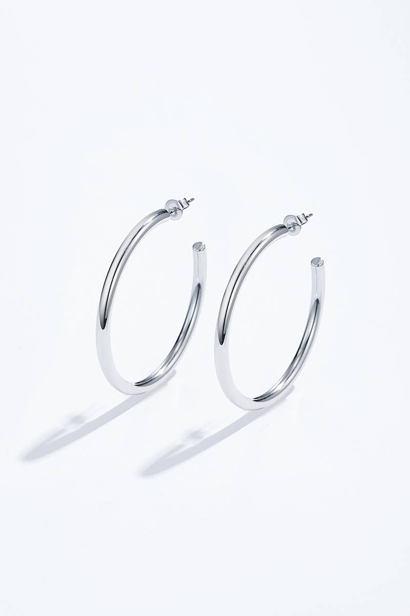 Stainless steel earrings 124AQ376