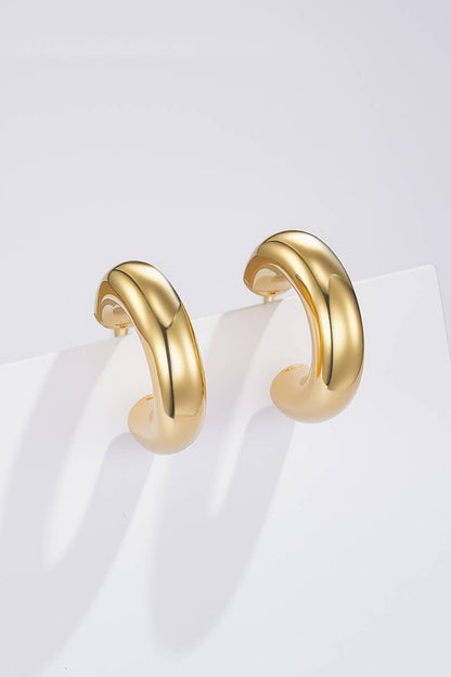 Stainless steel earrings 124RX161