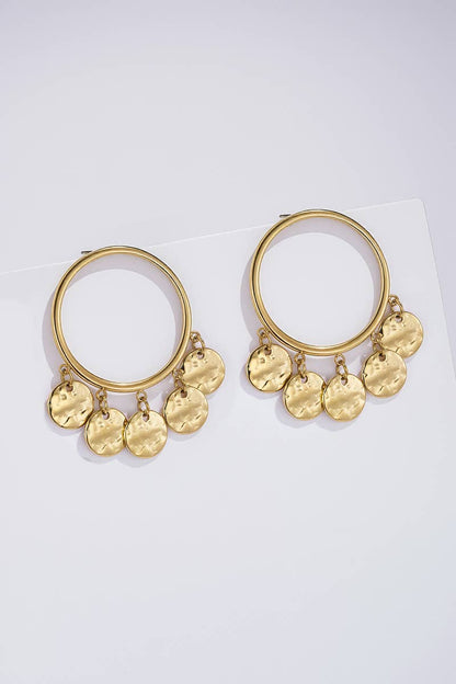 124RX269 stainless steel earrings
