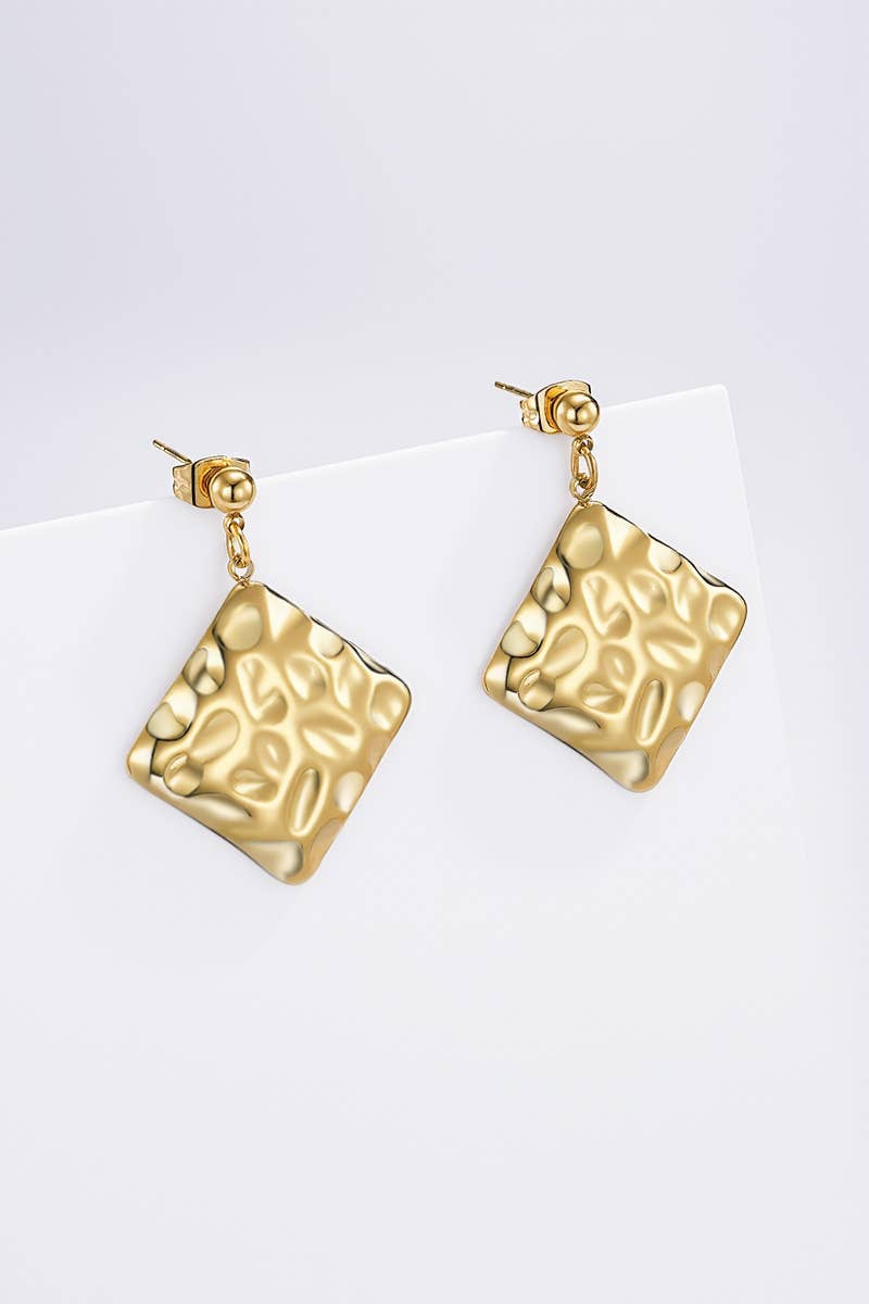 124RX198 stainless steel earrings