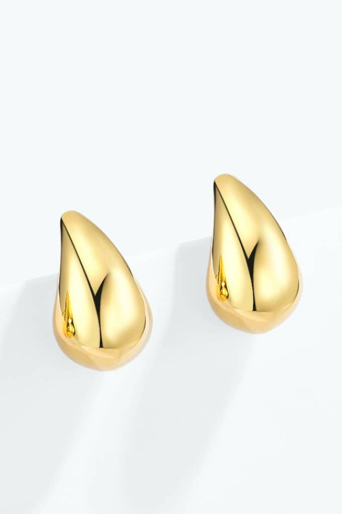Stainless steel earrings 124AQ652