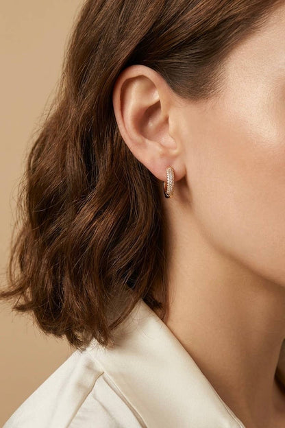 124AQ791 stainless steel earrings