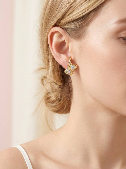 Stainless steel earrings 124AQ559