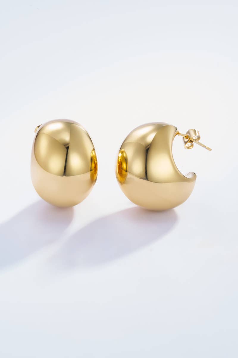 Stainless steel drop earrings 124AQ90