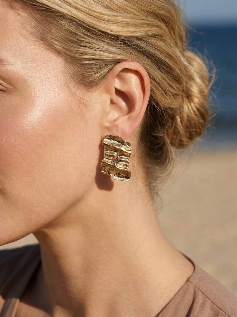 124RX261 stainless steel earrings