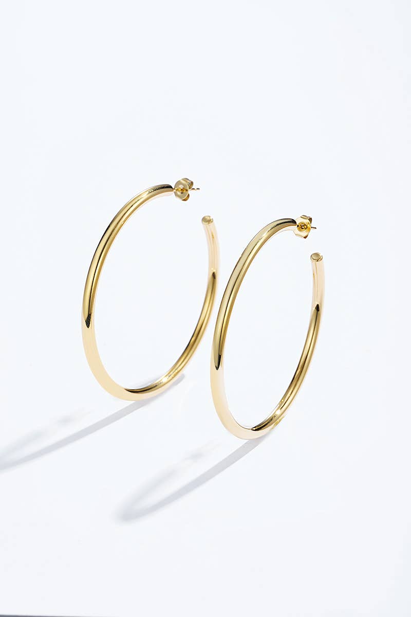 Boucles d'oreilles en acier inoxydable 124AQ375