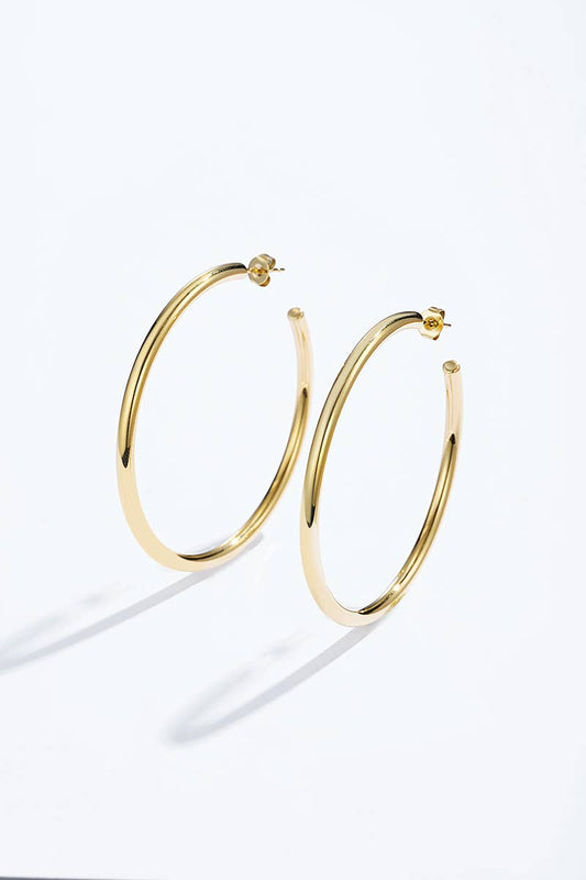 Boucles d'oreilles en acier inoxydable 124AQ375
