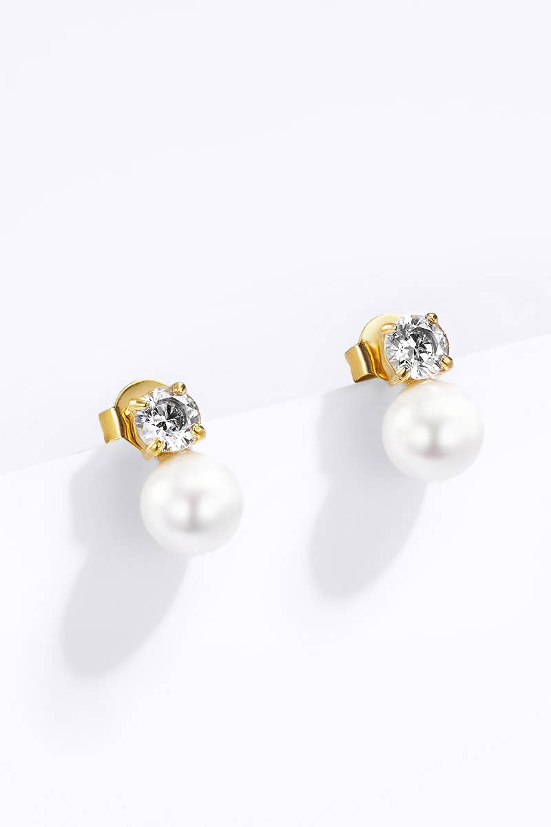 Stainless steel earrings 124AQ392