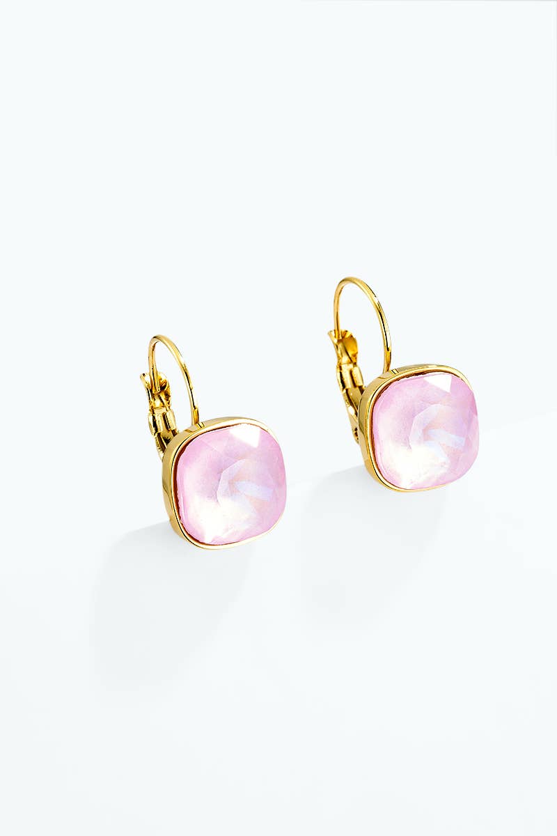 Stainless steel earrings 124AQ720