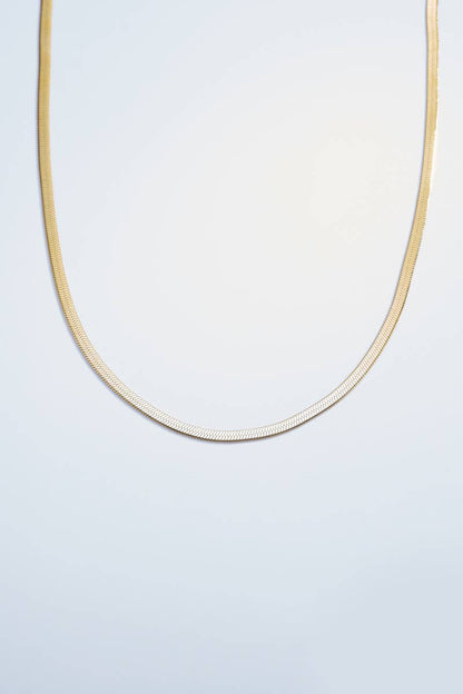 Stainless steel snake necklace 224AQ09