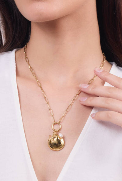 Collier en acier inoxydable 224AQ120