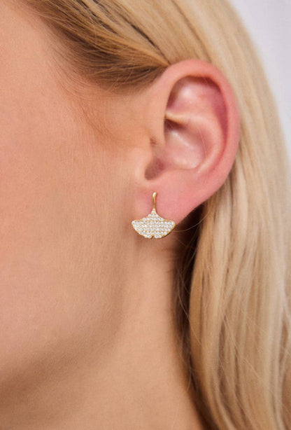 Stainless steel earrings 124RX206
