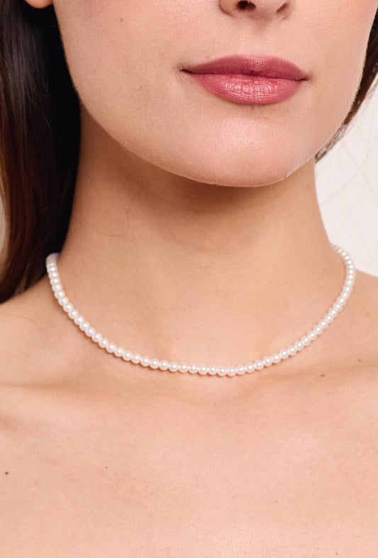 Collier en acier inoxydable 224AQ132