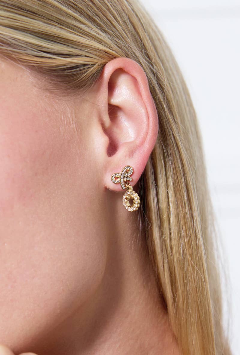 Stainless steel earrings 124AQ248